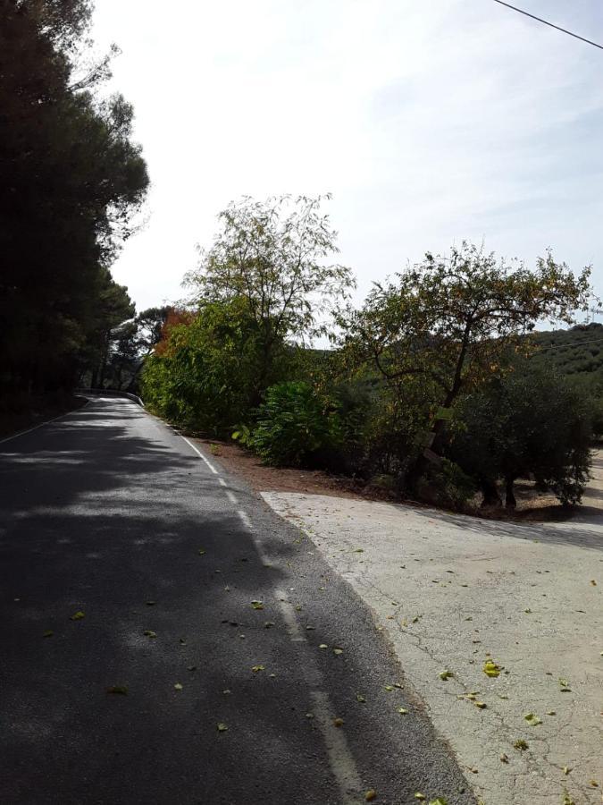 Hacienda La Buena Vida B&B En Appartementen Casita Almendas La Carrera de la Viña エクステリア 写真