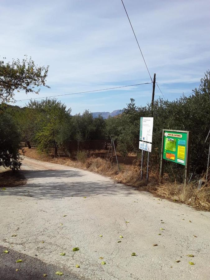 Hacienda La Buena Vida B&B En Appartementen Casita Almendas La Carrera de la Viña エクステリア 写真