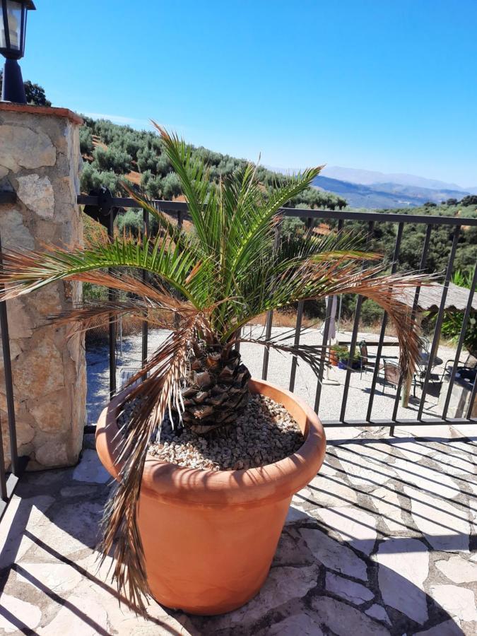 Hacienda La Buena Vida B&B En Appartementen Casita Almendas La Carrera de la Viña エクステリア 写真