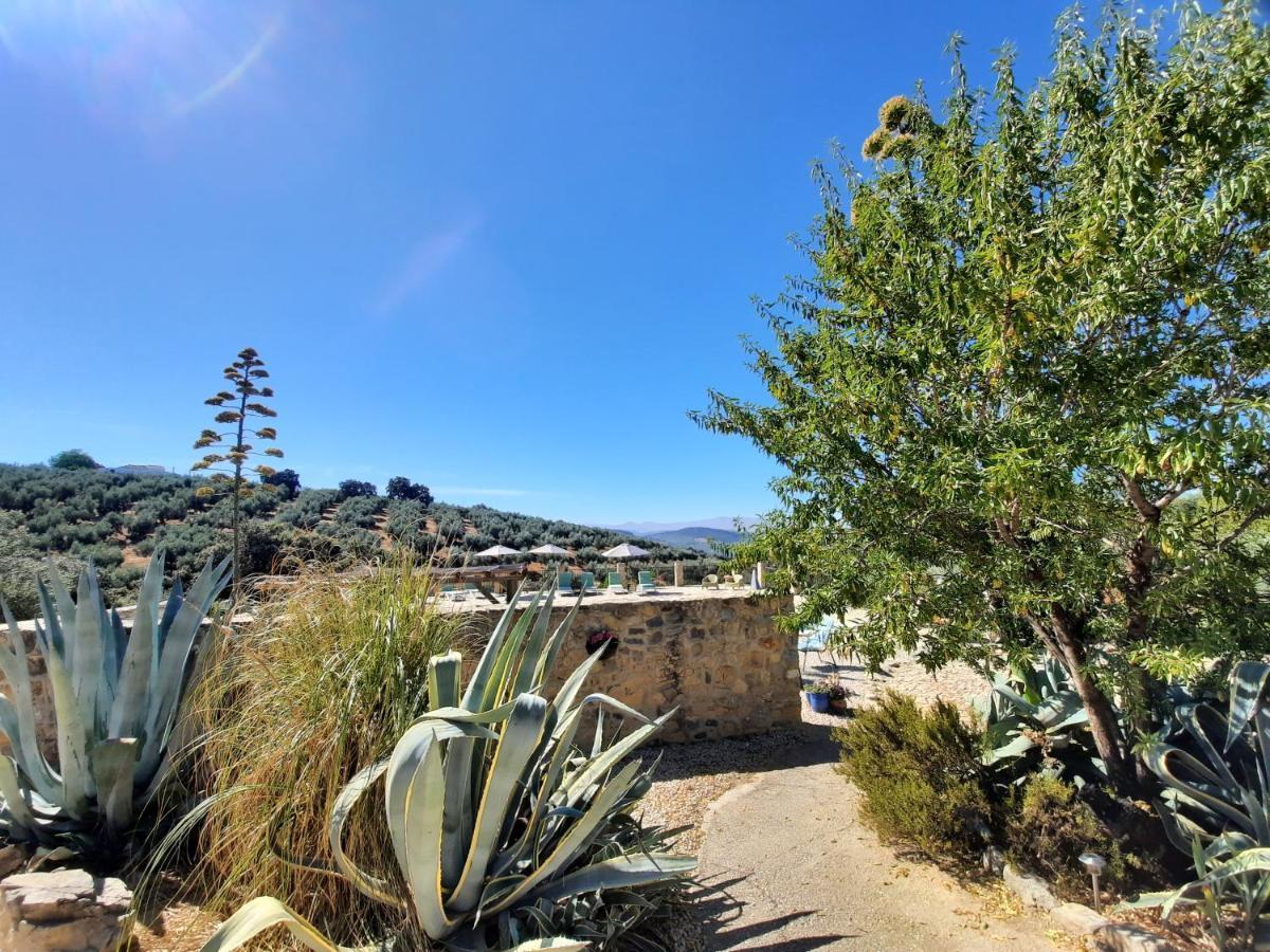 Hacienda La Buena Vida B&B En Appartementen Casita Almendas La Carrera de la Viña エクステリア 写真