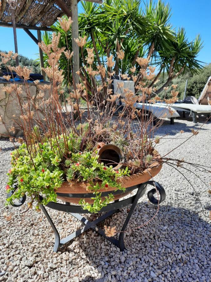 Hacienda La Buena Vida B&B En Appartementen Casita Almendas La Carrera de la Viña エクステリア 写真