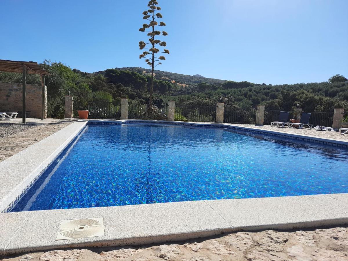 Hacienda La Buena Vida B&B En Appartementen Casita Almendas La Carrera de la Viña エクステリア 写真