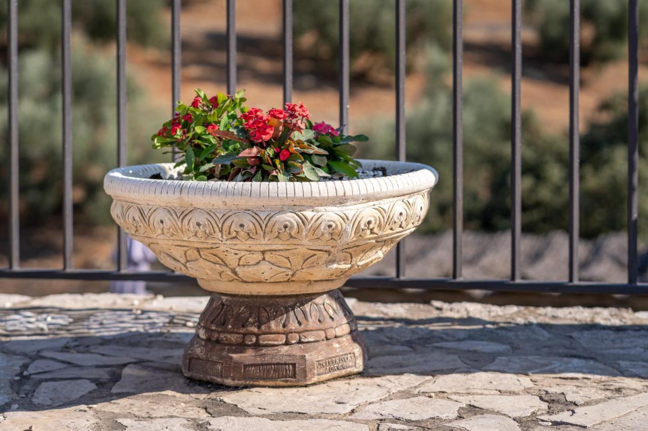 Hacienda La Buena Vida B&B En Appartementen Casita Almendas La Carrera de la Viña エクステリア 写真