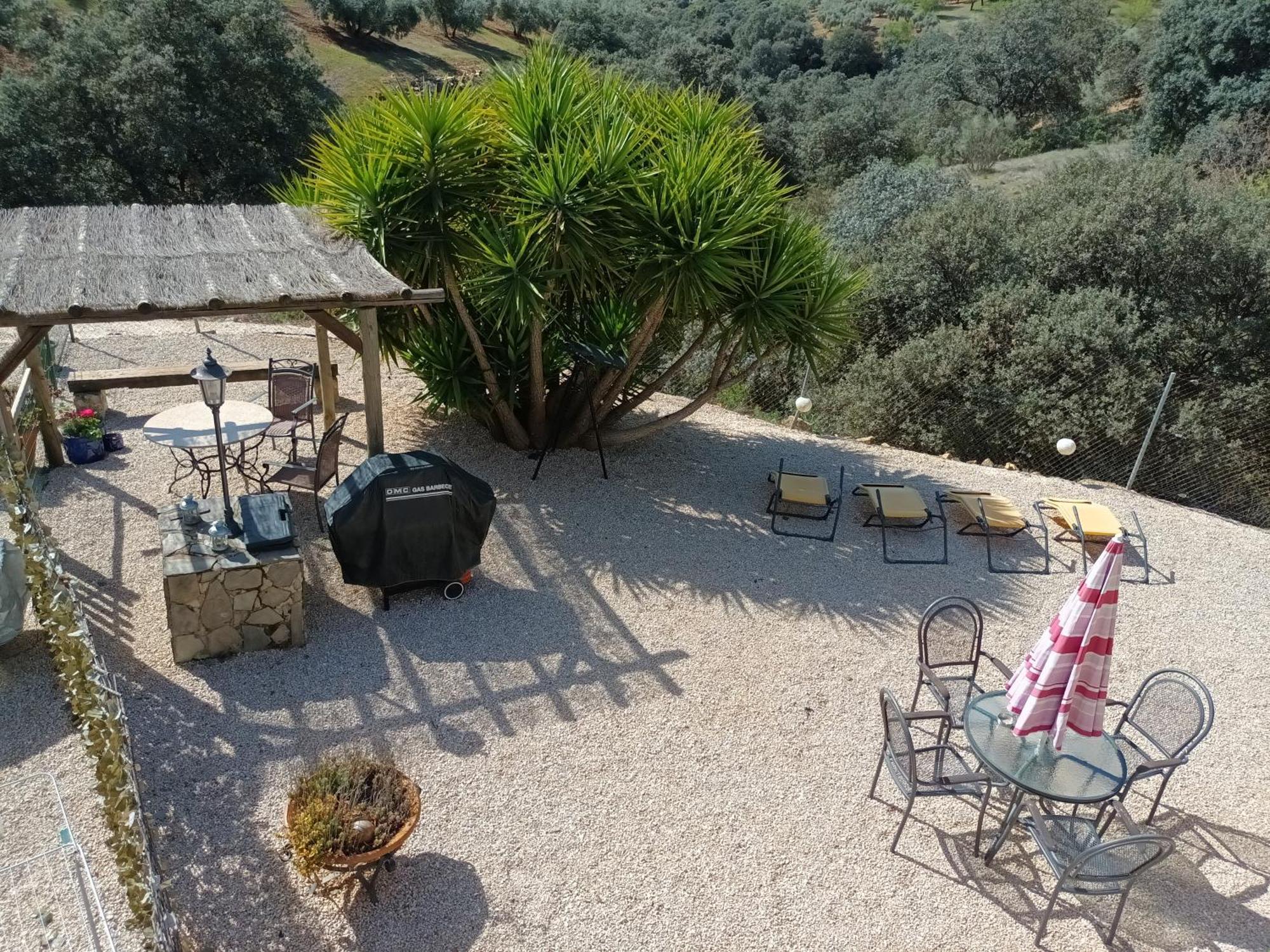 Hacienda La Buena Vida B&B En Appartementen Casita Almendas La Carrera de la Viña エクステリア 写真